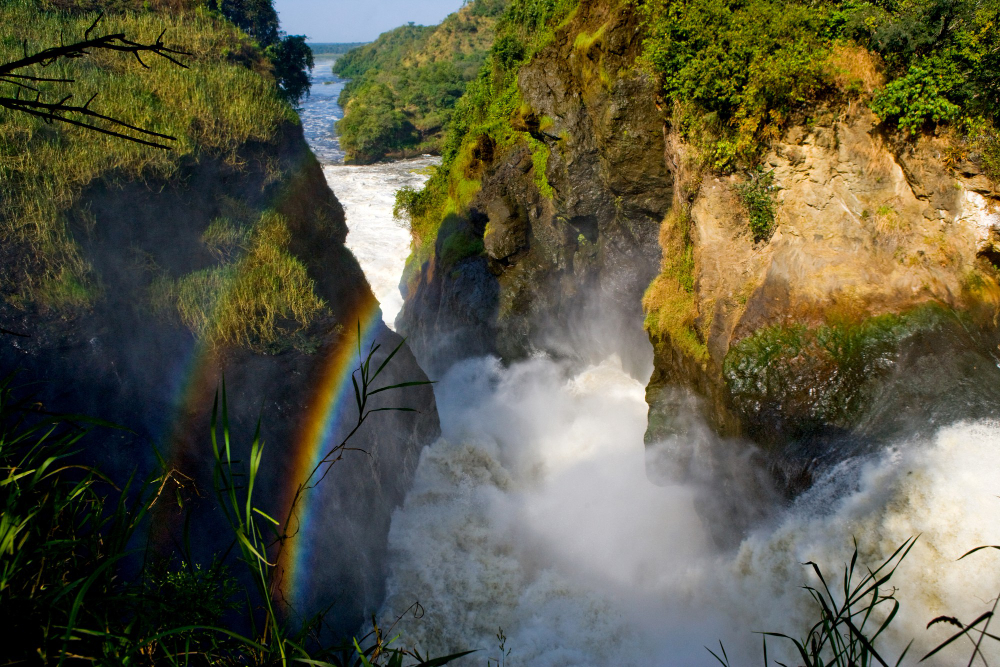 Murchison Falls National Park Uganda: The Park, The Waterfall and Wildlife Safari